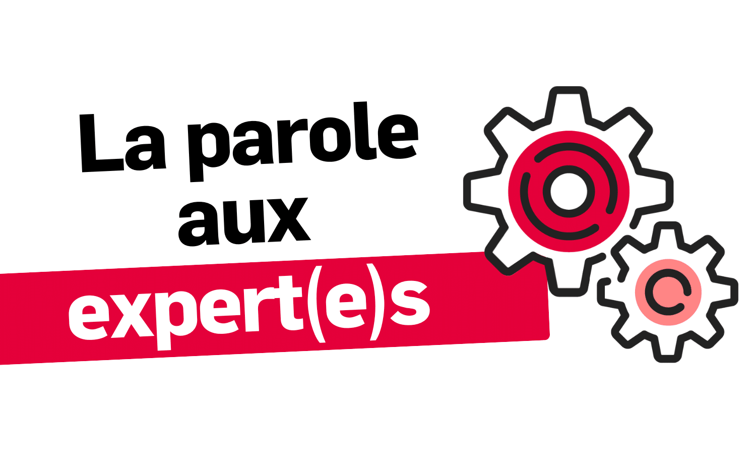 Banniere La parole aux expertes