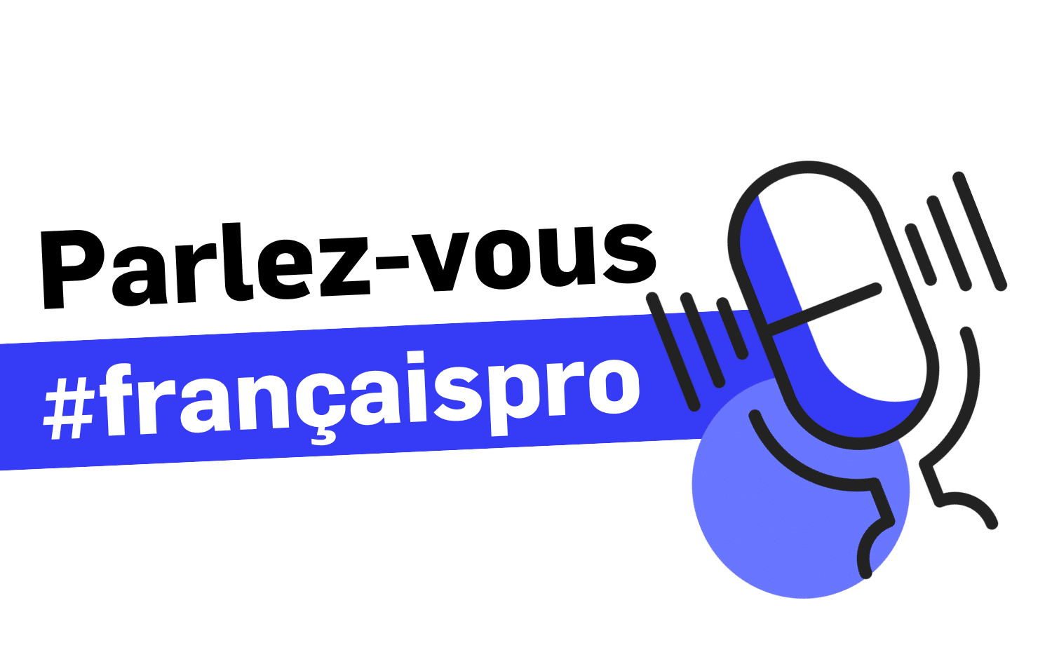Banniere Parlez vous francais pro