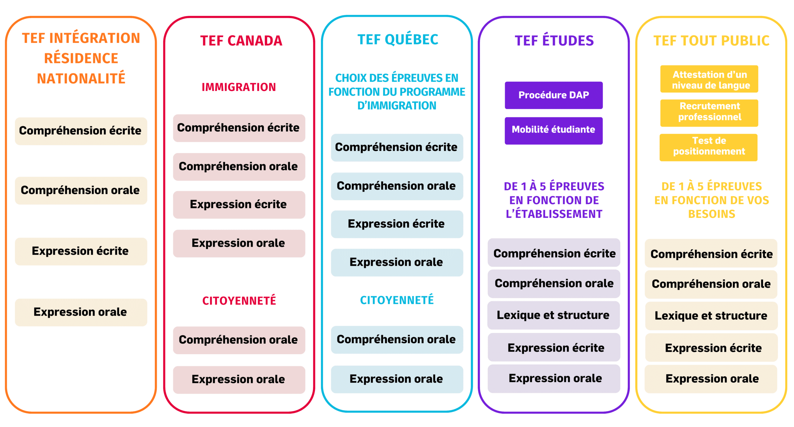 TEF Tableau Déclinaisons. Fond transparent