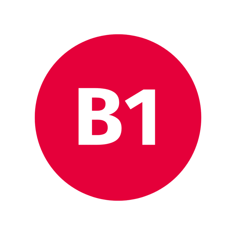 Badge Niveau B1