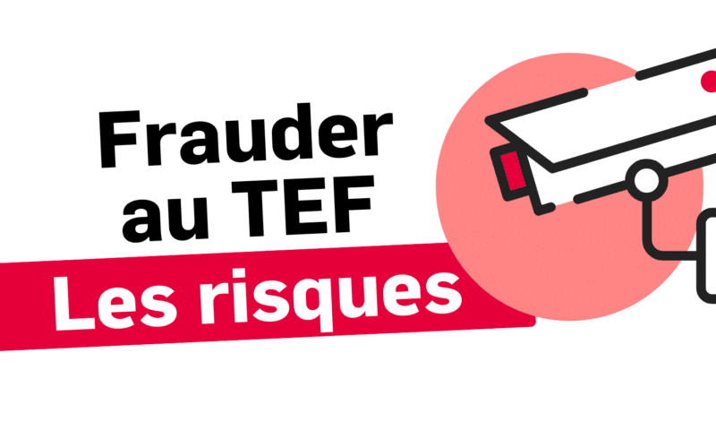 Bannière d'article - Frauder au TEF : Les risques